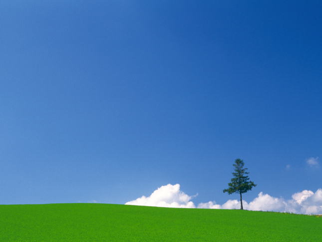 C[W